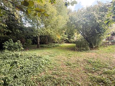 Picture 25